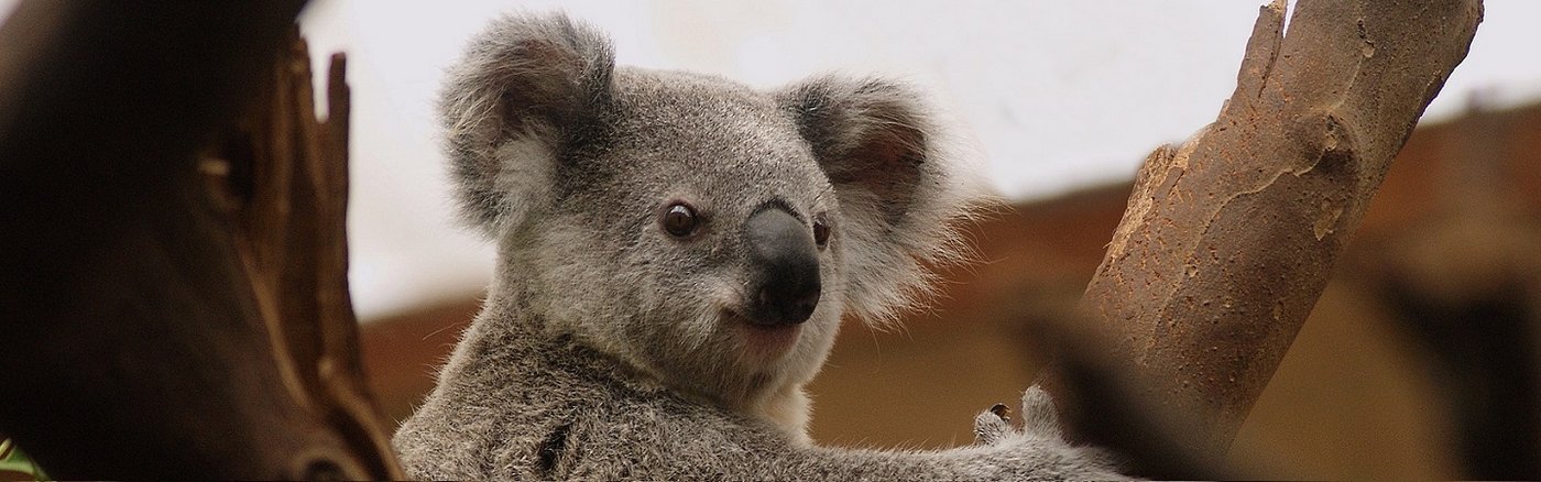 Australien